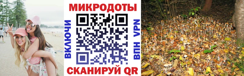 Галлюциногенные грибы MAGIC MUSHROOMS  как найти закладки  Богородск 