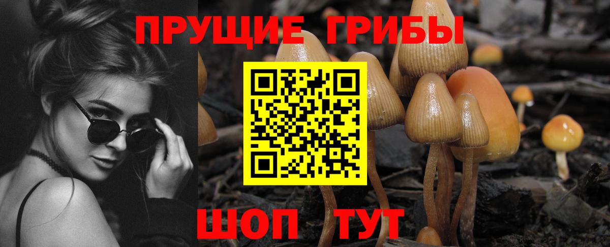 Галлюциногенные грибы GOLDEN TEACHER Богородск
