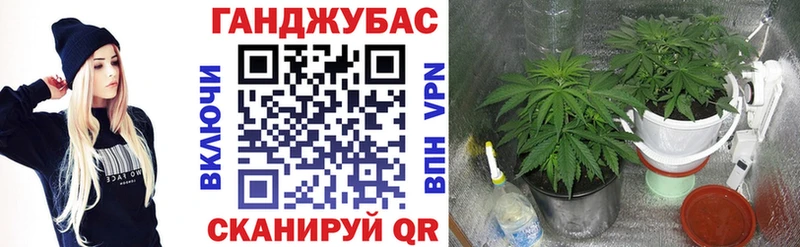 площадка какой сайт Богородск Каннабис семена